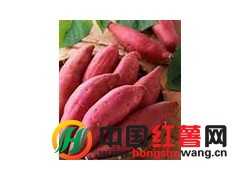 四川省威远县本地烤红薯