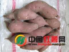红薯138、紫罗兰、龙薯九红薯基地