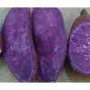 大量供应优质紫薯