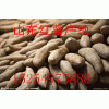 15254975888山东红薯大量批发