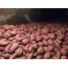 山东红薯产地价格批发出售