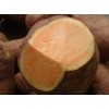 山东红薯芋头供应产地批发基地价格临沂红薯红苏八那里多