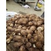山东红薯毛芋头大量供应13626331680